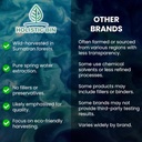 Holistic Bin Tongkat Ali Extract Toz – Premium Longjack Sumatran Ormanlarından – Herbal – No Fillers veya Preservatives – 50 Grams