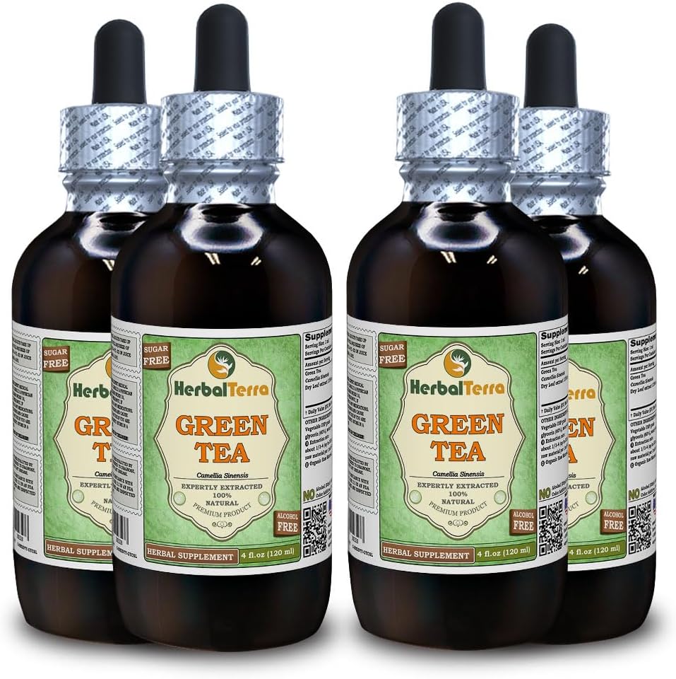 Green Tea (Camellia Sinensis) Glycerite, Organic Dried Leaves Alcohol-Free Liquid Extract (Brand Name: HerbalTerra, Proudly Made in USA) 4x4 fl.oz (4x120 ml)