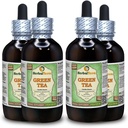 Green Tea (Camellia Sinensis) Glycerite, Organik kuru Alkol Özgür Sıvı Ekstraksiyonu (Brand Name: HerbalTerra, Proudly Made in USA) 4x4 fl.oz (4x120 ml)