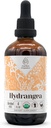 Hydrangea USDA Organic Alcohol-Free Extract | Dietary Supplement, High-Potency Tincture | Natural Certified Organic Hydrangea (Hydrangea arborescens) Dried Root (4 oz)
