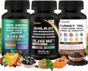 Shilajit,Sea Moss, Black Seed Oil,Mushroom & Herb Supplement with Lions Mane, Türkiye Tail, Reishi, Cordyceps, Chaga, Ashwagandha, Ginger, Rhodiola Rosea & Panax BTC, All in One Supplement.
