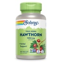 SOLARAY Hawthorn Berry Capsules 1050 mg - Soothing Herbal Support - Hawthorne Berry Supplement for General Wellness Support - Whole Berry, Vegan, Non-GMO, 60 Day Garanti, 90 Hizmet, 180 VegCaps