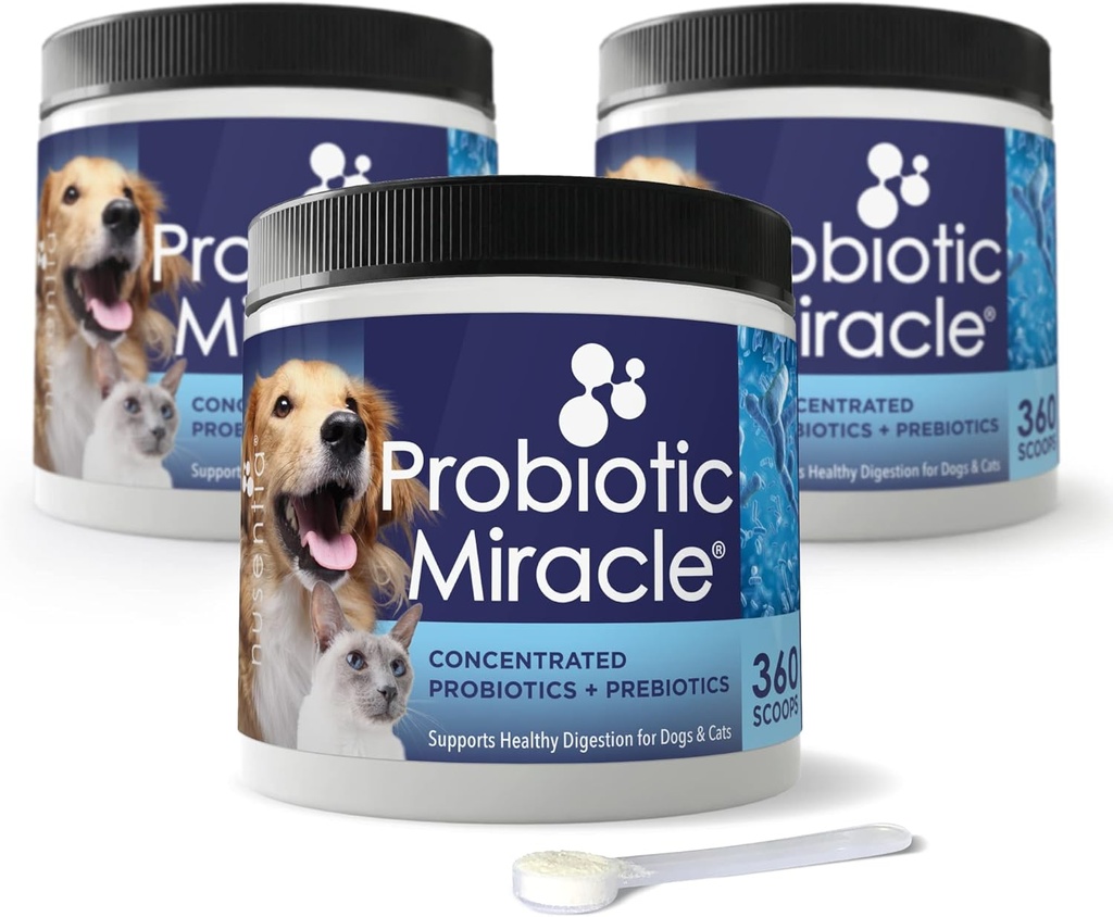 Köpekler ve Kediler için NUSENTIA Probiyotik Miracle (3 Sche) $ 3 tasarruf. Eliminate Diarrhea, Constipation, Loose Stool, Yeast ve More. ABD'de Made in USA. GMP sertifikalı