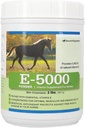 E5000 Toz | Vitamin E for Horses | Antioksi Support with Horse Vitamin E Supplement | Optimal Kas & Wellness Support | 2 lb