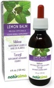 Naturalma Lemon Balm (Melissa officinalis) Leaf Alkol Özgür Tincture - 4 fl oz Sıvı Ekstraksiyon - Herbal Supplement - Vegan