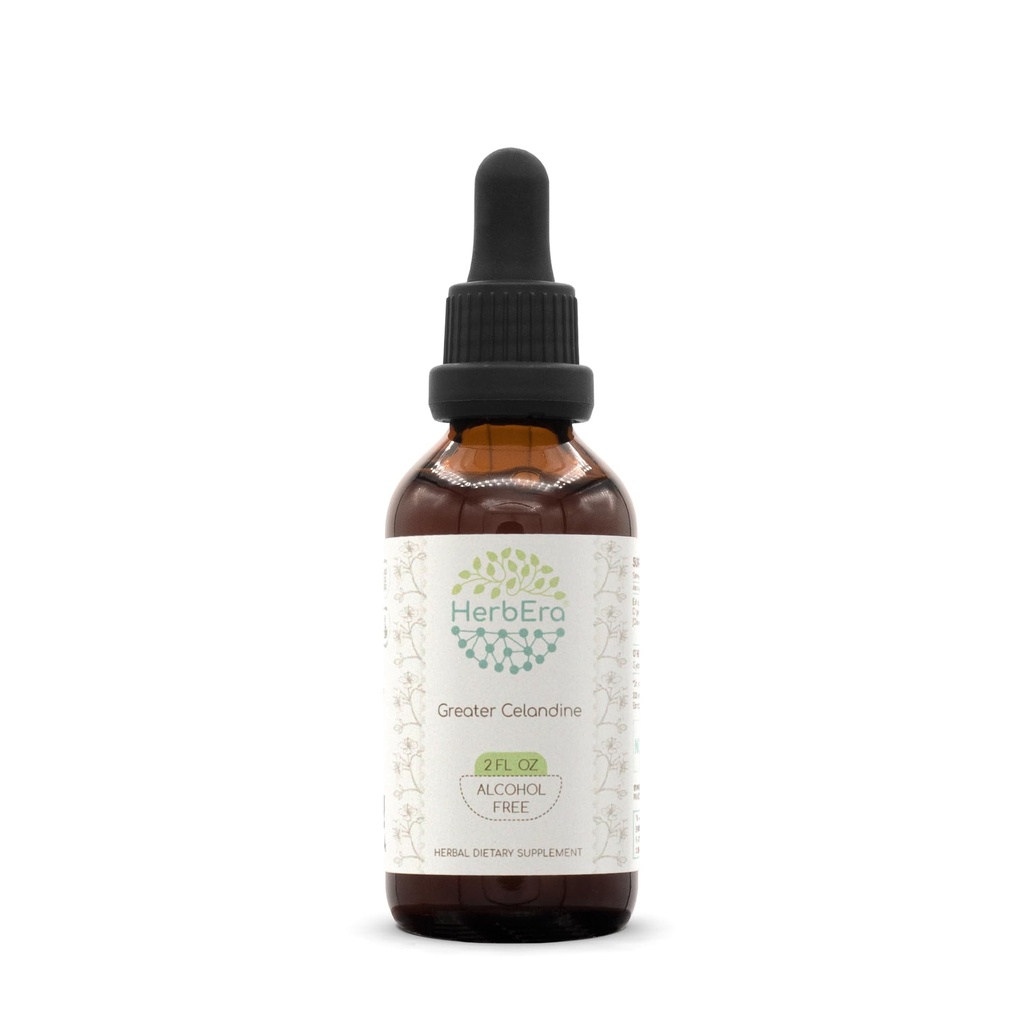 HerbEra Greater Celandine B60 Alkol-Free Herbal Extract Tincture, Tempd Liquid Drops Natural Greater Celandine (Chelidonium Majus) kuru Plant (2 oz)