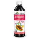 Papaya Leaf Blood Support Liquid - 15X Strength - Papaya Leaf Ekstraksiyon - Sağlıklı Plaklar, Kan Temiz, Digestion, Papaya Enzyme -12oz Liquid - Herbal Goodness (1 bttl)