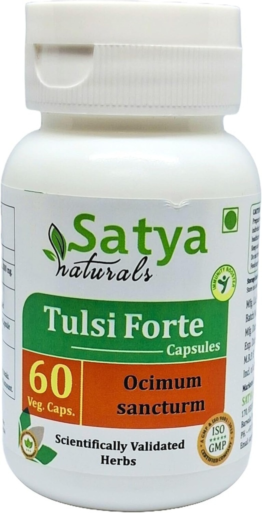 Tulsi Forte Capsules 500 mg. 60 Veg. Capsule | Basil (Ocimum Sanctum) Erkekler ve Kadınlar için Kapsüller | Ayurvedic Herbal Supplement/R capturedes | 10:1 Forte (1 Şişe 60 Capsules)