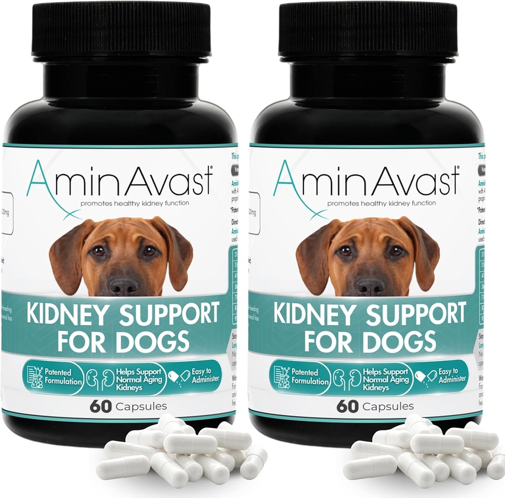 AminAvast Kidney Köpekler için Tamam, 1000 mg 2Pack - Doğal Kidney Fonksiyonları - Aging Kidneys'deki Yardımlar - kolayca Administered - 60 Sprinkle Capsules