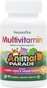 NaturesPlus Animal Parade Sugar-Free Children's Multivitamin - Assorted Cherry, Grape & Orange Flavors - Pack of 2, 90 Chewable Tabletler - 90 Toplam Hizmetler