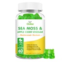 Gummies θαλασσινός μόσχος - μηλίτη μηλίτη ξύσμα, Bladderwrack, ρίζα Burdock - Υποστηρίζει την ανοσοποιητική υγεία,60 Ct