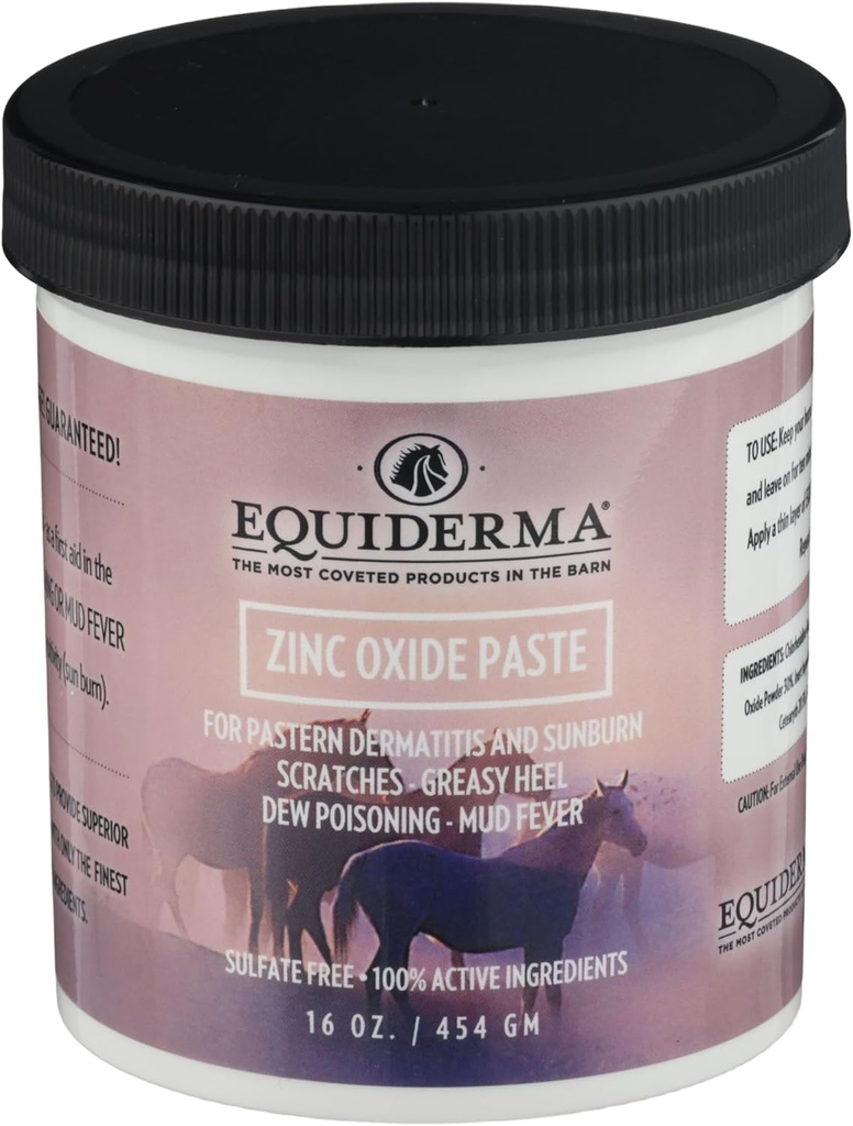 Atlar için Equiderma çinko Oksit Paste, 16 oz | Pastern Dermatitis, Shanes & Sunburn | Koruyucu Su-Resistant Engel & UV Shield | Equine Skin Tedavisi