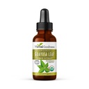 Guayusa Leaf Extract Brain Focus - Φυσικό συμπλήρωμα ενέργειας ποτών καφεΐνης, Εναλλακτική καφέ, ανακούφιση στρες - Βιολογικό μπουκάλι Kosher 1oz - βοτανική καλοσύνη