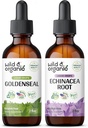 Άγρια & οργανική απόχρωση του χρυσού 2 fl oz & Echinacea Βάμμα 2 fl oz