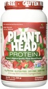 Genceutic Naturals Plant Head protein Natural Flavored Best Tasting Strawberry Raw Vegan Vegetarian Protein Diyetary Supplement Gluten Soy Süt GMO Free - 30 Hizmet (1.8 Pound)