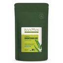 Banyan Botanikleri Bhumyamalaki Toz – Organik Canlı Sağlık Supplement* – Phyllanthus spp. – Doğal Detoxification & Cleansing of The Liver* – 1/2 Pound – Non GMO Sustainable Sourced Vegan