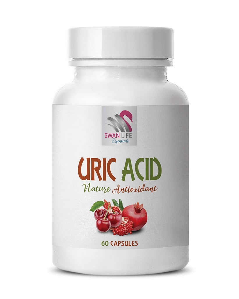 Alerna Kidney Health - URIC Acid Natural ANTIOXIDANT - Uric Acid Cleanse Υποστήριξη ταρτάρ Cherry Κάψουλες - 1 φιάλη 60 κάψουλες λαχανικών