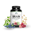 Optimal Health Systems Brain | Most Comprehensive Nootropic + Enzyme Delivery | 700 mg Scientific Neuroenhancment Blend | Boost Mood, Memory & Focus | 90 Capsules