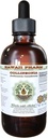 Collinsonia Alcohol-Free Liquid Extract, Collinsonia (Collinsonia Canadensis) Dried Root Glycerite Hawaii Pharm Natural Herbal Supplement 4 oz