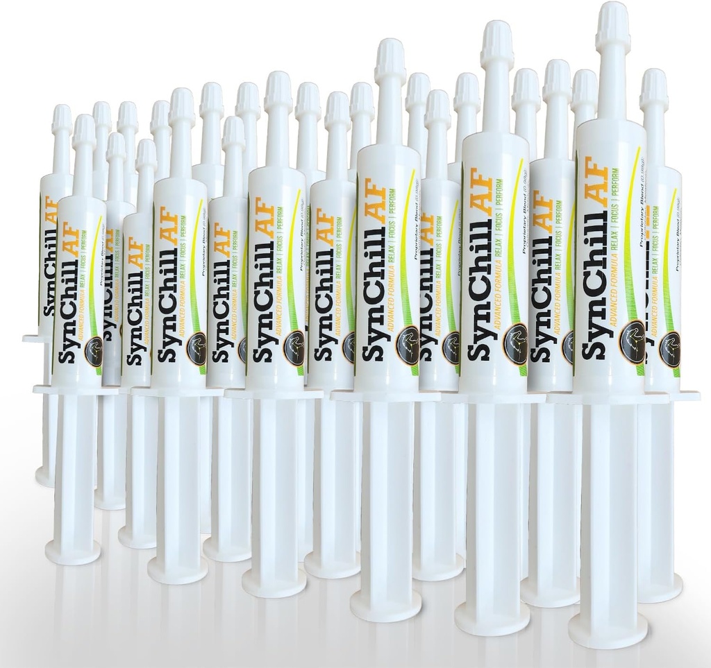 SynChill AF Calming Gel için Nervous Horses - Single Service - L-Theanine, Artan Potency, 100% Natural Supplement, Disposition & Confidence Support for Horses - 25 Pack
