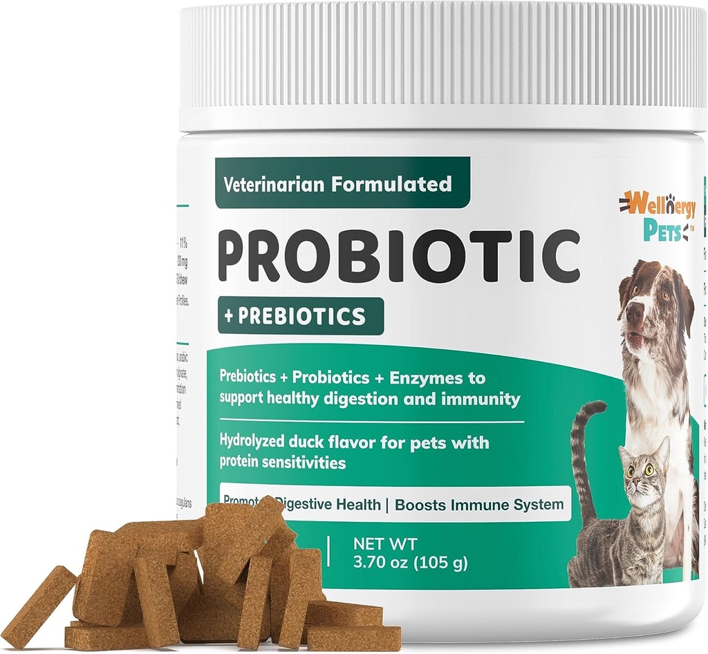 Wellnergy Daily Probiyotik & Prebiyotiks Soft Chew for Dogs & Cats - Digestive Support for Diarrhea, Constipation, Upset Stomach, Indigestion & Gas - Helps Digestion, Alerji Skin & Immune Health 70ct