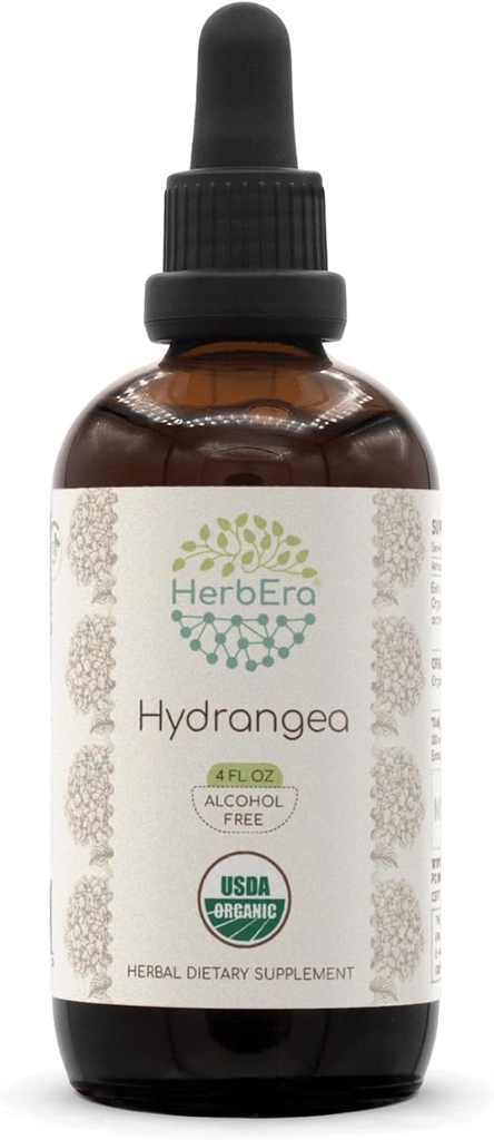 HerbEra Hydrangea B120 USDA Organik Tincture | Alkol Özgür Tür, Yüksek Lisans Herbal Drops | Sertifikalı Organik Hydrangea (Hydrangea arborescens) kıl Kök (4 oz)