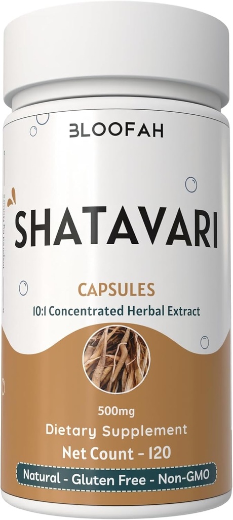 Shatavari Capsules 500 mg | Yoğun 10:1 Ekstraksiyon | Asparagus yarışmosus Root Herbal Supplement | Non-GMO, Gluten-Free, Traditional Herbal Formula (120 Kont)