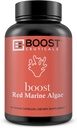 BoostCeuticals Red Marine Algae Gigartina 90 Vegan Capsules No Stearates, No Silica Immune Support, Non-GMO, Mineral & Kalsiyum Kaynağı - 3 Ay Supply