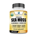 American Standard Συμπληρώματα Βιολογικό Moss Θάλασσα, Bladderwrack & Burdock Κάψουλες Ρίζα - 1200mg Seamoss, 1200mg Bladderwrack, 225mg Burdock Root Per Serving - 120 Κάψουλες, 40 εξυπηρετούν