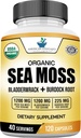 American Standard Supplements Organic Sea Moss, Bladderwrack & Burdock Root Capsules - 1200 mg Seamoss, 1200 mg Bladderwrack, 225 mg Burdock Kökleri - 120 Capsules, 40 Hizmetler