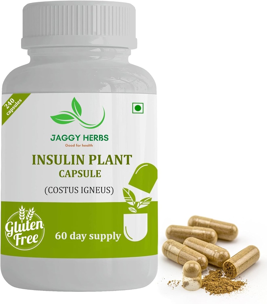 Genric JAGGY Premium Insulin Plant Capsules (Costus Igneus) Natural Supplement 240 Veggie Capsules (60 Day Supply) Insulin Plant Capsules (Costus Igneus) Natural Supplement 240 Veggie Capsules (60 Day Supply) Insulin Plant Capsules (60 Day Supply) Insulin Plant Capsules