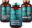 WILD FUEL Amino Asitler, HMB ve Fadogia Agrestis Kompleksi ve Potansiyel Grafik