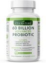 Erkekler için Gelişmiş Probiyotikler - Digestive Health, Gut Support ve Immunity
