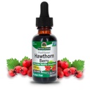 Doğanın Yanıtı Hawthornges | Sağlıklı Beslenme Fonksiyonlarını Destekliyor | Sağlıklı Kolesterol Seviyelerini Sağlıyor | Gluten-Free, Alkol Özgür, Kosher Sertifikalı ve Öngörüler 1oz
