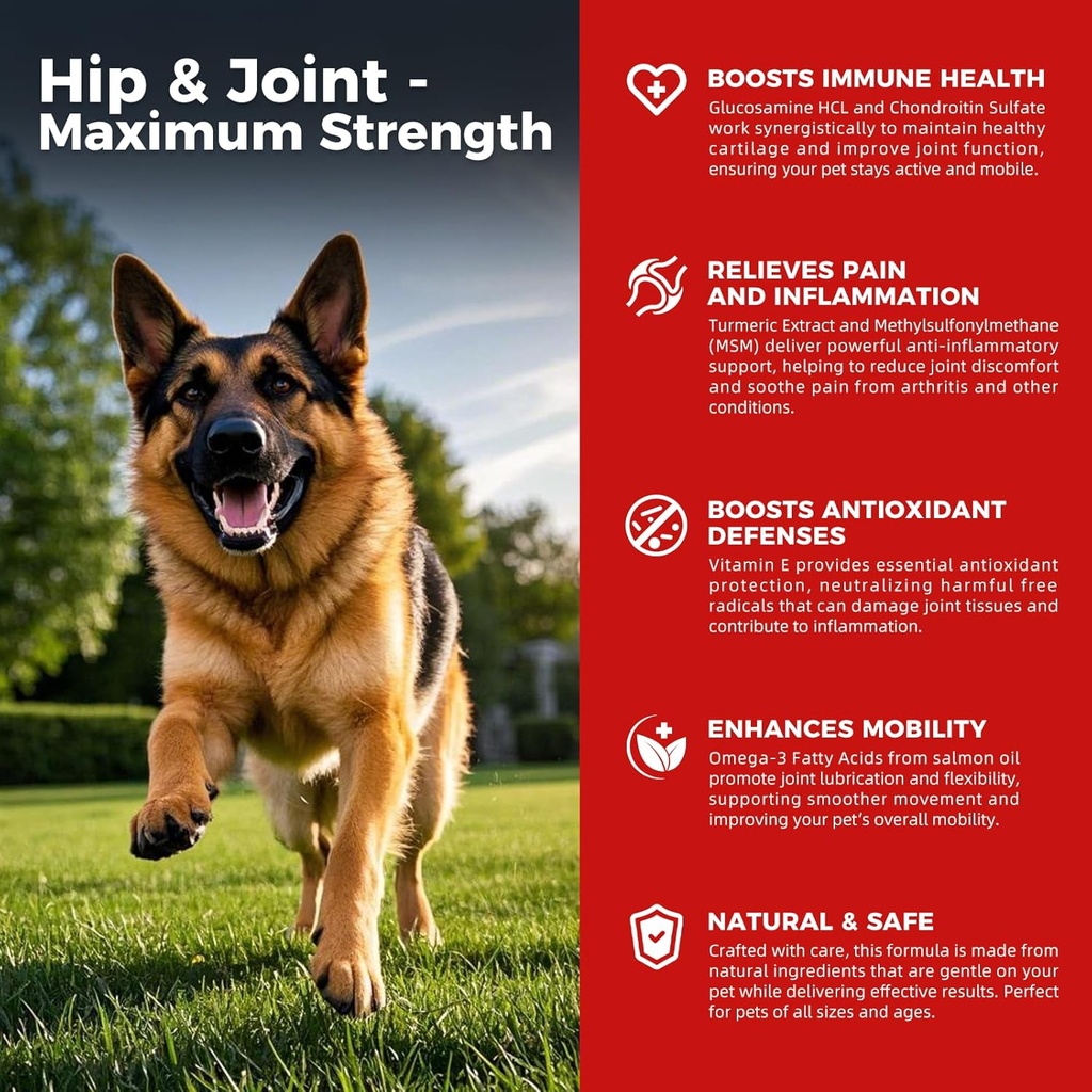 Dog Hip and Common Supplement - Dog Pain Relief Anti Inflammatory with Glucosamine, Chondroitin, MSM, Turmeric, Vitamin E, Omega 3 - Hip Dysplasia, Arthritis - All Large Small Medium Breed