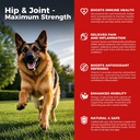 Dog Hip and Common Supplement - Dog Pain Relief Anti Inflammatory with Glucosamine, Chondroitin, MSM, Turmeric, Vitamin E, Omega 3 - Hip Dysplasia, Arthritis - All Large Small Medium Breed