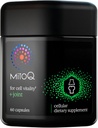 MitoQ +Joint Advanced CoQ10 Antioksi Supplement - Contains Mitoquinol Mesylate & Green Lipped Mussel Omega Oil Extract - Supports Health Joint, Mobility and Cell Vitality (60 Softgel Capsules)