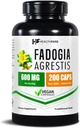 Healthfare Fadogia Agrestis Extract 600mg 