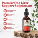 Eski Pet Liver - Köpekler için Gelişmiş Canlı Destek Desteği - Daha İyi Aborpsiyon için Sıvı Teslimat - Süt Butle, Dandelion, Artichoke & More!