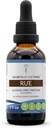 Μυστικά της Φυλής Rue Alcohol-Free Liquid Extract, Rue (Ruta graveolens) Αποξηραμένα Βότανα Συμπλήρωμα Βάμμα (2 FL OZ)