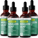 Lungs ve Bronchial için 5in-1 Mullein Drops - Respiratory Lung Health Support with Mullen Leaf Extract for Lungs - Mullein Tincture with Elderberry, Echinacea and Ginger Root (120 hizmet) (4-pack)
