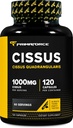 Primaforce Cissus Quadrangularis Extract, 120 Capsules, hizmet başına 1000 mg - Gluten Free, Non-GMO