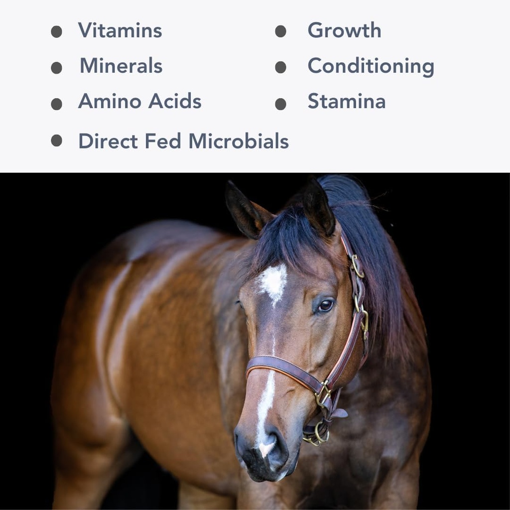 Mega-Mag (25lb) Alfalfa Hay Diyetleri için Çok Vitamin/Mineral Tamamlandı