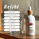 Rainbo - Reishi Mushroom Βάμμα - Αλκοόλ Δωρεάν - Διπλό εκχύλισμα συμπλήρωμα μανιταριών - Ανοσολογική υποστήριξη, Mood, Ύπνος, Υγρό συμπλήρωμα Reishi, Vegan, Μη ΓΤΟ, 3.4 fl oz