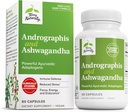 Terry Natural Andrographis ve Ashwagandha - Immune System Support Supplement - Support Energy & Health Stress Response - Energy Support Supplement - 60 Capsules (60 Hizmet)