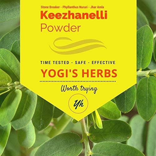 YOGIS HERBS Keezhanelli Toz (Phyllanthus Niruri) | Chanca Piedra Stone Breaker – Liver, Kidney & Gallbladder Destek- Fresh & Pure Herbal Supplement (8 oz)