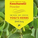 YOGIS HERBS Keezhanelli Toz (Phyllanthus Niruri) | Chanca Piedra Stone Breaker – Liver, Kidney & Gallbladder Destek- Fresh & Pure Herbal Supplement (8 oz)