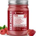 WELNESS LABSRX Irish Sea Moss Gel Raw - Wildcraft Superfood Seamoss Gel - Βατόμουρο Γεύση, Βιταμίνη και Ορυκτό-Πλούσιο από την Πριστίνα Caribbean Waters, Immune and Digestive Health Support - 10 oz.
