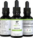 Reishi Mushroom Extract - Sıvı Tincture - Immunity Defense & Brain Support için Tamam, Sağlıklı Canlı Fonksiyonları Destekleyin, Enerji ATM & Uyku Daha İyi, Ziggy Health