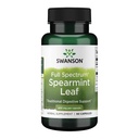 Swanson Spearmint Leaf (Mentha Spicata) - Full Spectrum Herbal Supplement Supporting Digestive Health & Mild Stomach Issues - Natural Formula Supporting Health & Wellness - (60 Capsules, 400 mg each)